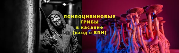 гидра Тобольск