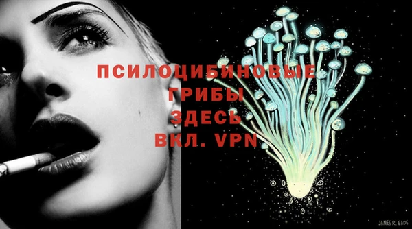 прущие грибы Белокуриха