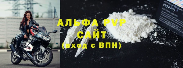 прущие грибы Белокуриха
